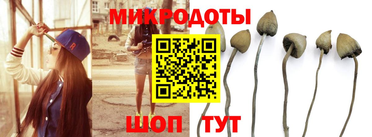 Радужный  Галлюциногенные грибы GOLDEN TEACHER  Псилоцибиновые грибы Cubensis  Вход с VPN 